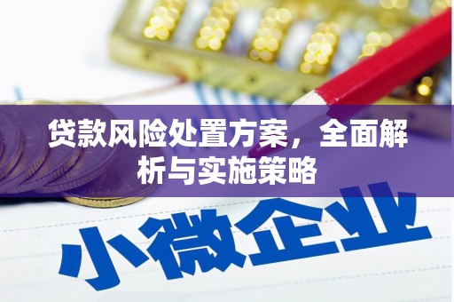 望安贷款风险处置方案，全面解析与实施策略