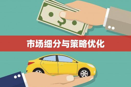 临高市场细分与策略优化