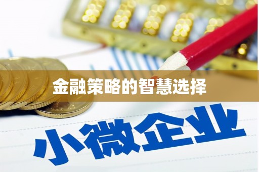 南化金融策略的智慧选择
