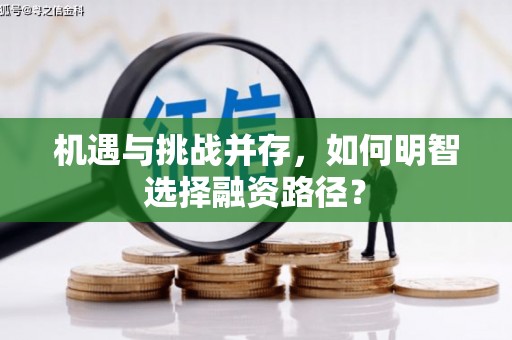 陆良机遇与挑战并存，如何明智选择融资路径？
