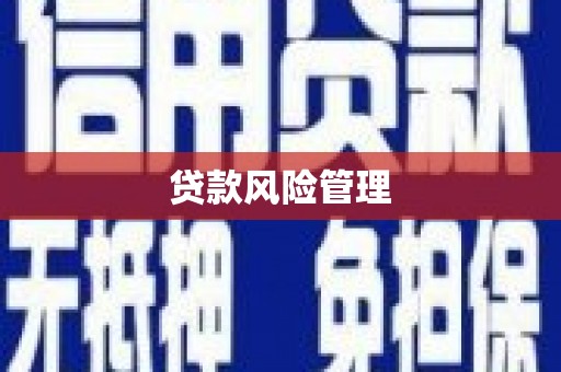 张湾贷款风险管理